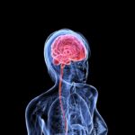 Women’s Emotions, Part 3: The Menstrual Cycle & Mood
