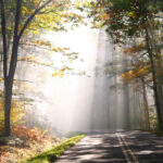 Slow Down & See: How to Appreciate the Richness of Life