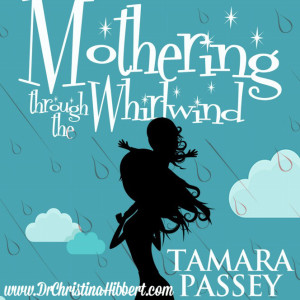 Mothering Through the Whirlwind-3 Sanity-Saving Strategies; www.DrChrisitnaHibbert.com