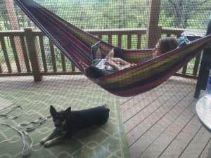 My husband took this pic of me revising my new book, "8 Keys to Mental Health Through Exercise," while eating lunch and chilling with the dog in a hammock. It's one way I can put a little more "relax" into my day, even when I'm on a deadline!