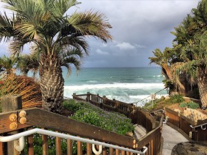 View from my morning jog today--isn't it gorgeous? I'm getting some R&R here in CA. Rest+ exercise + nutrition + essential oils = Wellness & happiness for me!