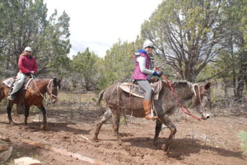 Zion Ponderosa Women's Adventure Retreat horseback riding www.DrChristinaHibbert.com