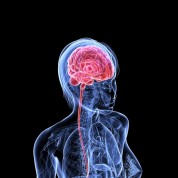 Women’s Emotions, Part 3: The Menstrual Cycle & Mood